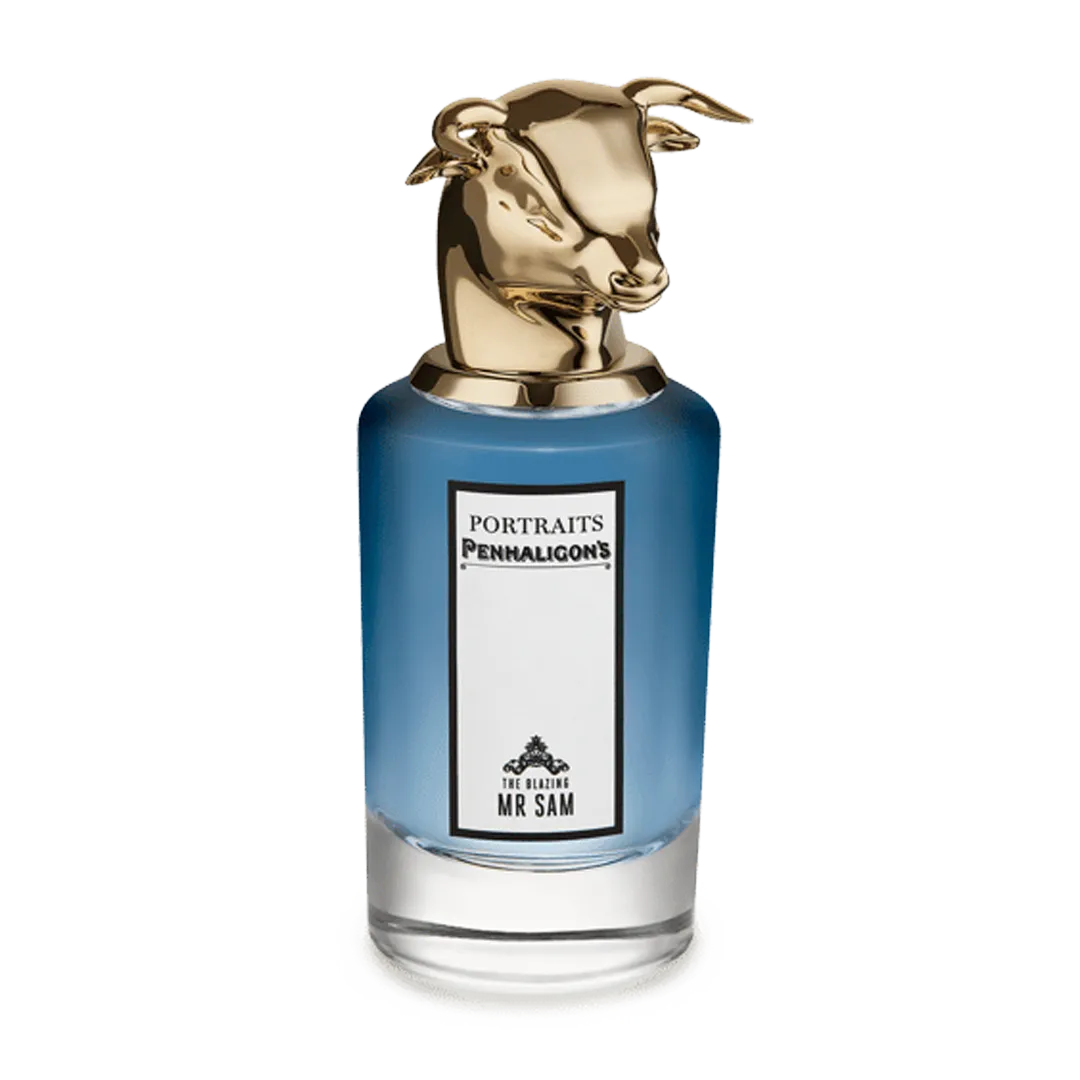 THE BLAZING MR SAM (FRAGHEAD CLASS)